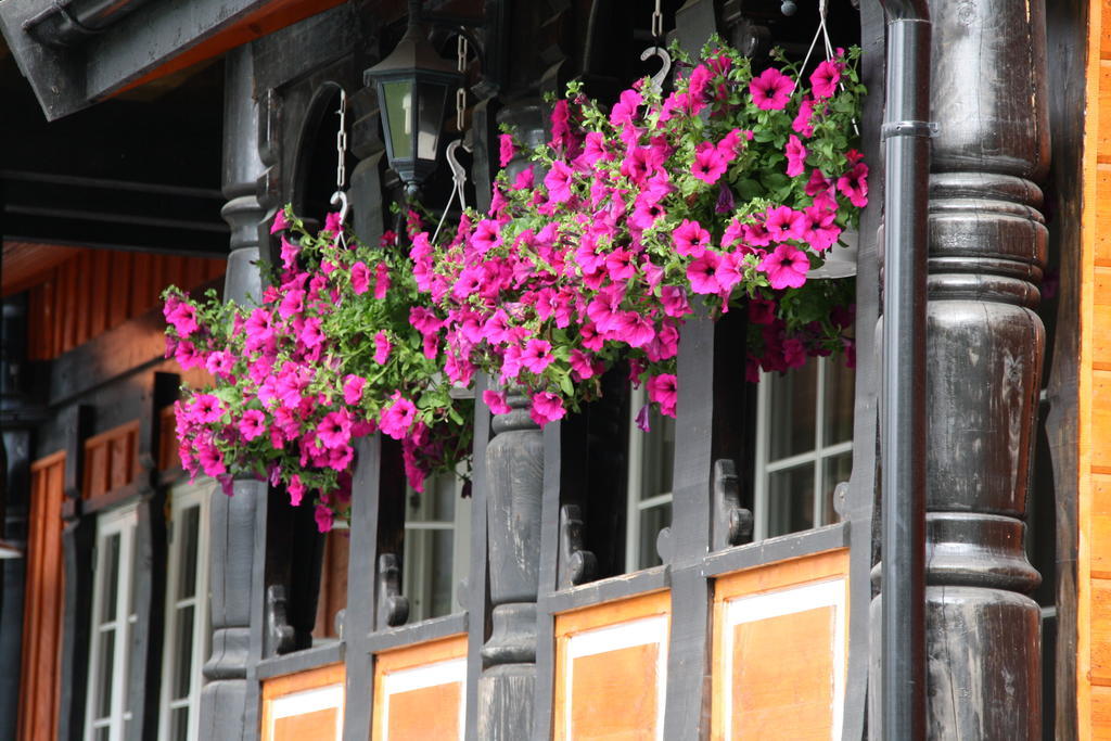 Solvgarden Cottages Rysstad Εξωτερικό φωτογραφία